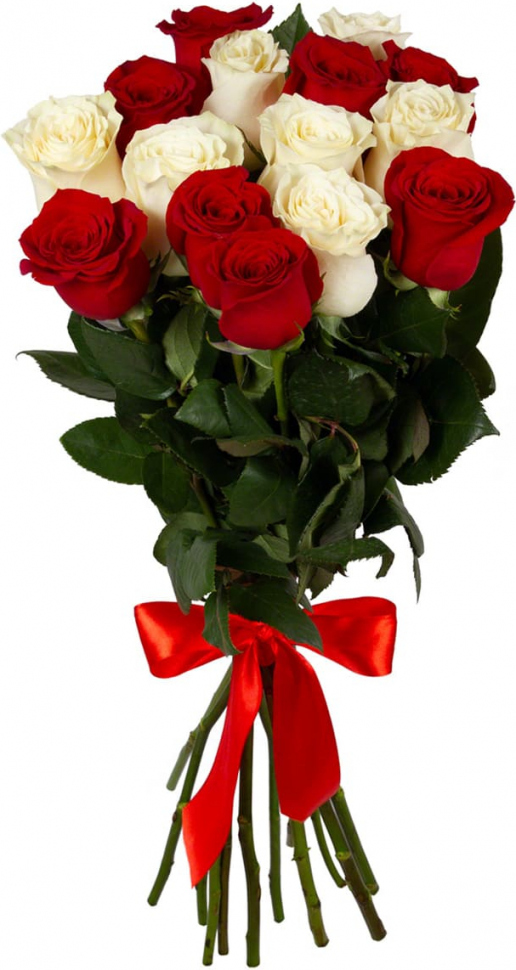 Розы Голландия микс № 2 Розы Голландия микс № 2