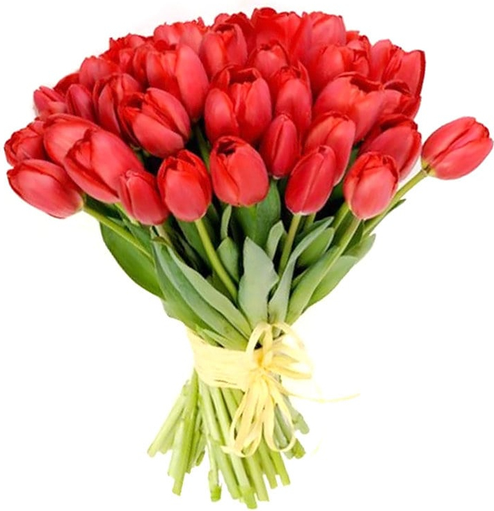 Красные тюльпаны Красные тюльпаны